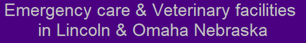 Emergency care & Veterinary facilities in Lincoln & Omaha Nebraska